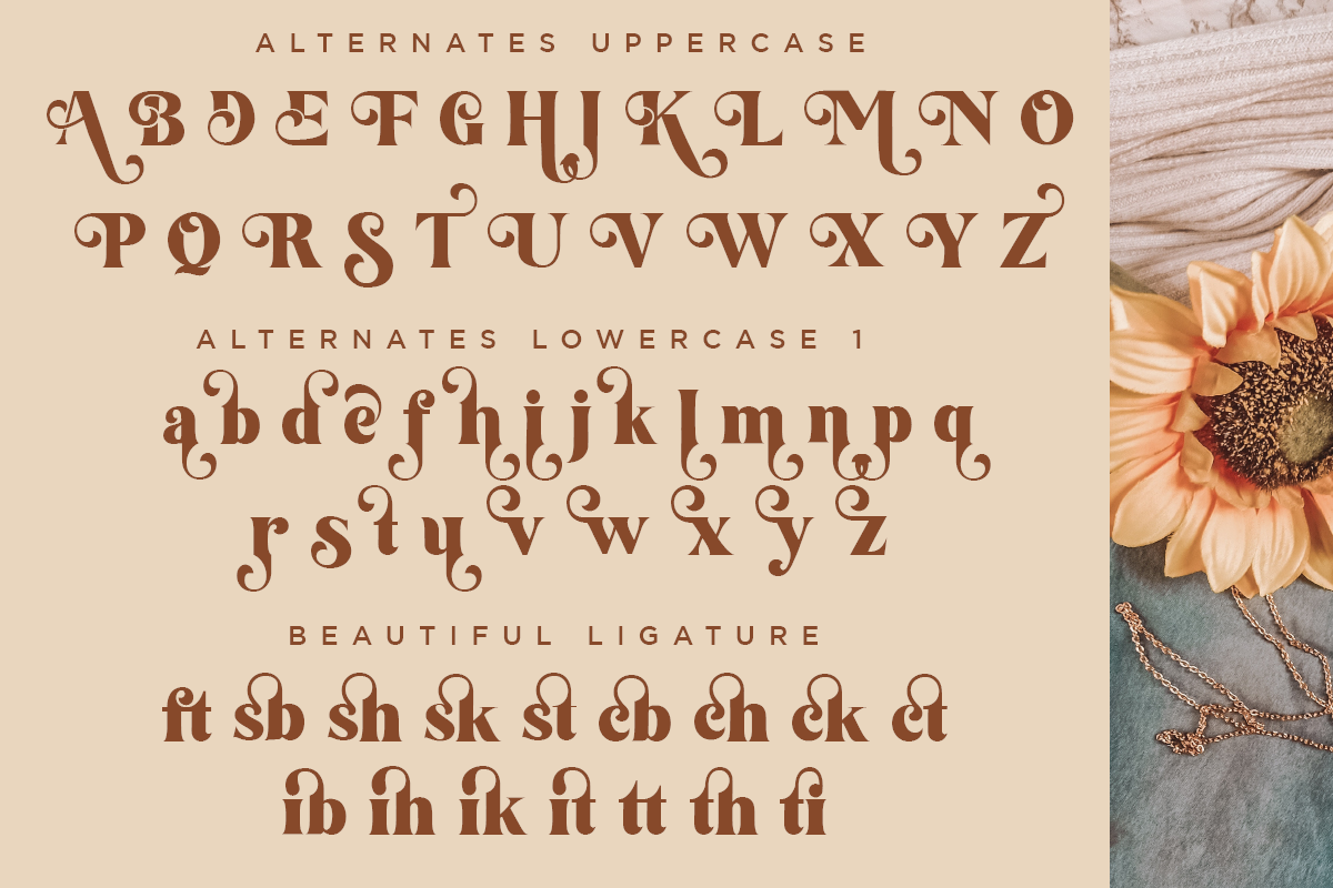 feathers-elegant-decorative-serif-font-say-studio-9.png