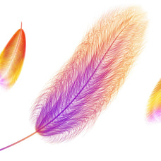 feathers-procreate-brushes-unknown-creator-10.jpg