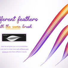 feathers-procreate-brushes-unknown-creator-3.jpg