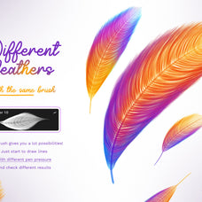 feathers-procreate-brushes-unknown-creator-7.jpg