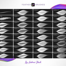 feathers-procreate-brushes-unknown-creator-8.jpg