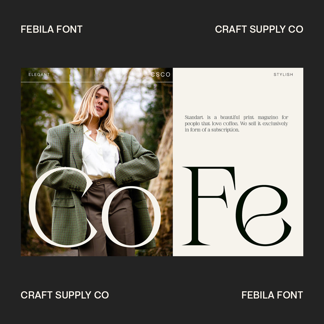 febila-elegant-serif-font-craft-supply-co-2.jpg