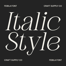 febila-elegant-serif-font-craft-supply-co-4.jpg