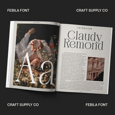 febila-elegant-serif-font-craft-supply-co-6.jpg