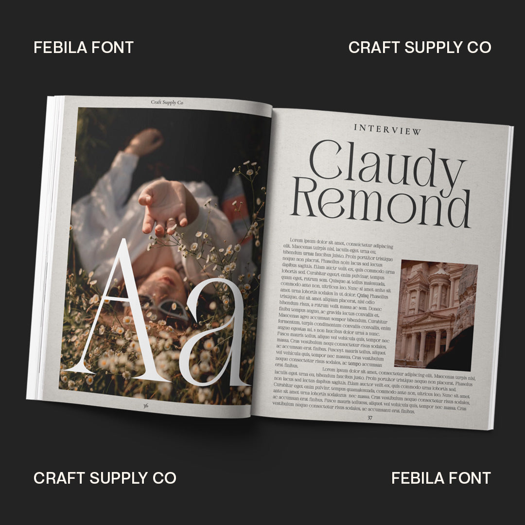 febila-elegant-serif-font-craft-supply-co-6.jpg
