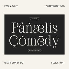 febila-elegant-serif-font-craft-supply-co-7.jpg