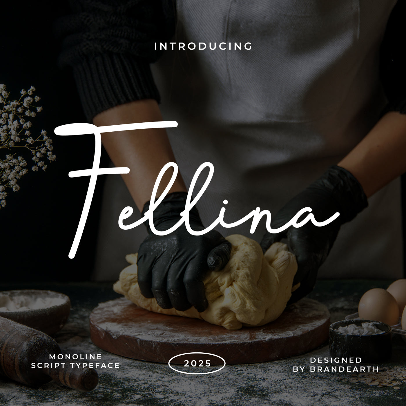 fellina-monoline-script-typeface-font-brandearth-studio-1.jpg