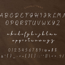 fellina-monoline-script-typeface-font-brandearth-studio-2.jpg