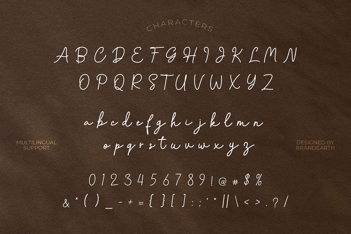 fellina-monoline-script-typeface-font-brandearth-studio-2.jpg