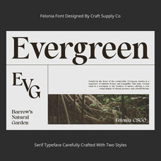 felonia-classic-serif-craft-supply-co-3.jpg