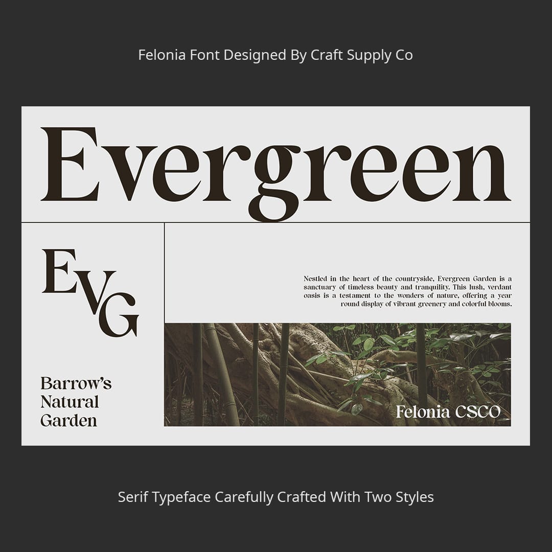 felonia-classic-serif-craft-supply-co-3.jpg