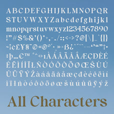 felonia-classic-serif-craft-supply-co-8.jpg
