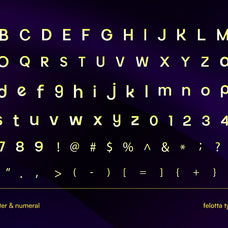 felotta-sans-serif-font-brandearth-studio-2.jpg