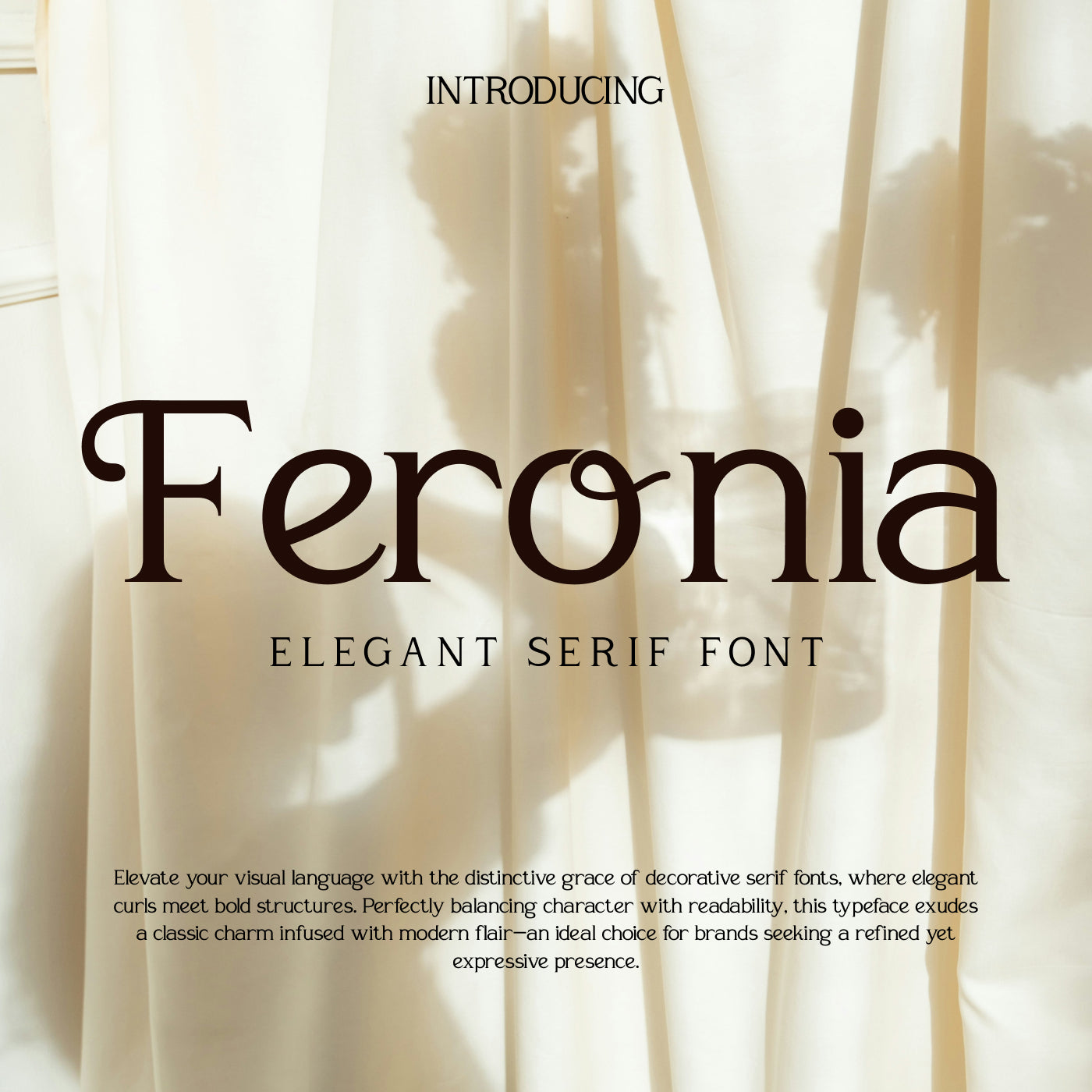 feronia-elegant-serif-font-vadova-studio-1.jpg
