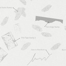 Film Texture Procreate Brushes | Life is a film