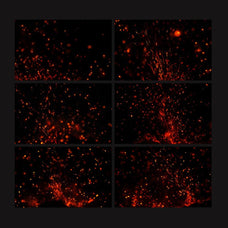 Fire Spark Overlay