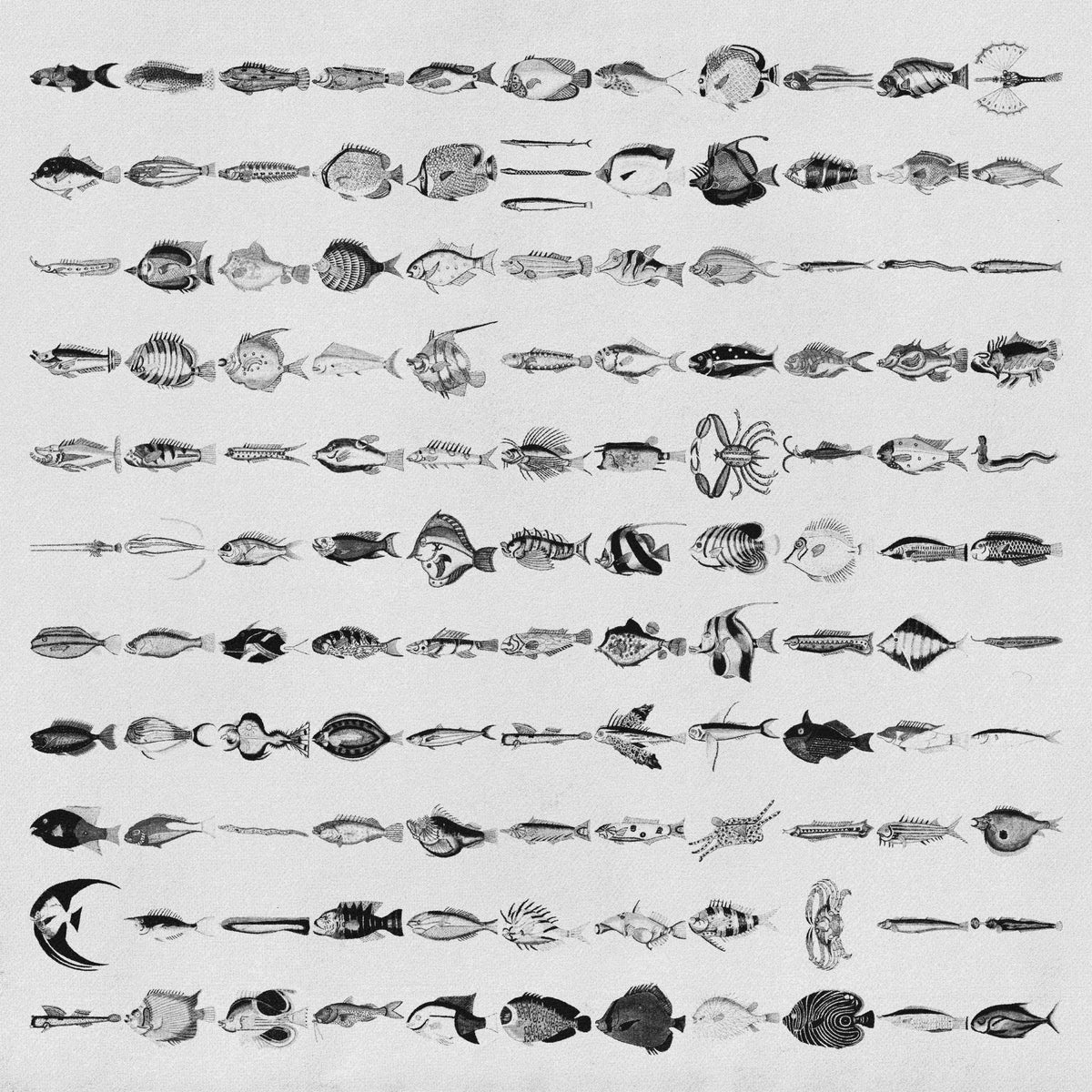 Fishes Asset Pack by Jason Santos, preview 2