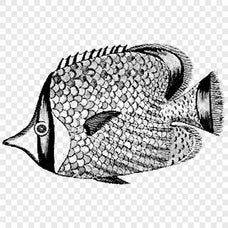 Fishes Asset Pack by Jason Santos, preview 6