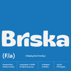 flatface-briska-flatface-atelier-1.jpg
