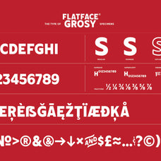 flatface-grosy-flatface-atelier-3.jpg