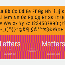 flatface-hamilton-font-duo-flatface-atelier-6.jpg