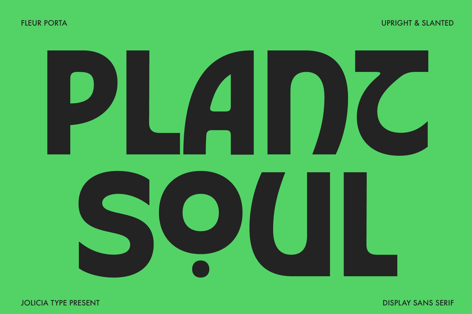 fleur-porta-display-sans-jolicia-type-12.png
