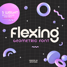 Flexing - Famiy Geometric Sans Serif Font by Say Studio, preview 1