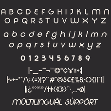 Flexing - Famiy Geometric Sans Serif Font by Say Studio, preview 11