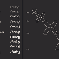 Flexing - Famiy Geometric Sans Serif Font by Say Studio, preview 2