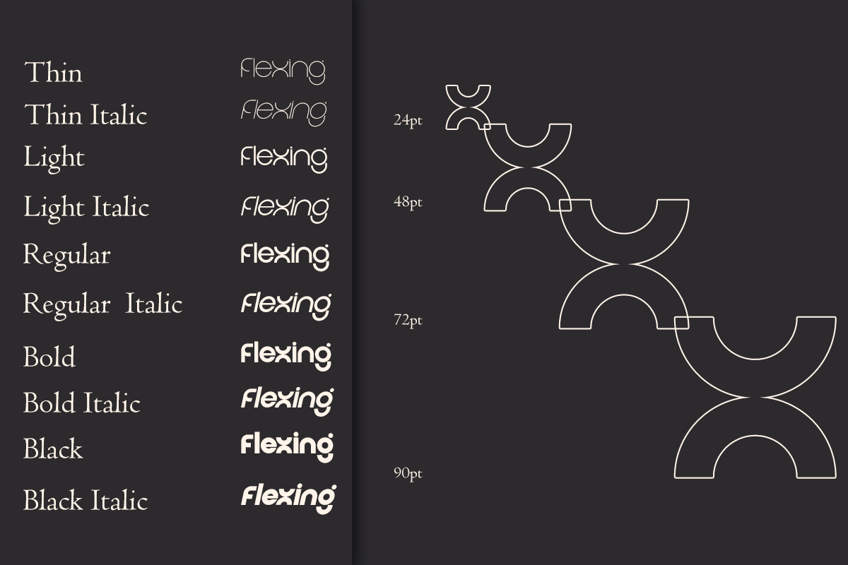 Flexing - Famiy Geometric Sans Serif Font by Say Studio, preview 2