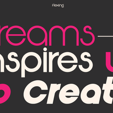 Flexing - Famiy Geometric Sans Serif Font by Say Studio, preview 3