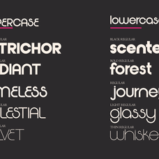 Flexing - Famiy Geometric Sans Serif Font by Say Studio, preview 6