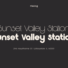 Flexing - Famiy Geometric Sans Serif Font by Say Studio, preview 7