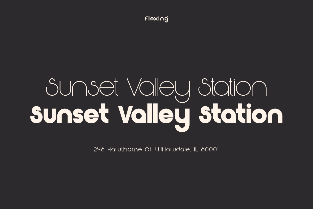 Flexing - Famiy Geometric Sans Serif Font by Say Studio, preview 7