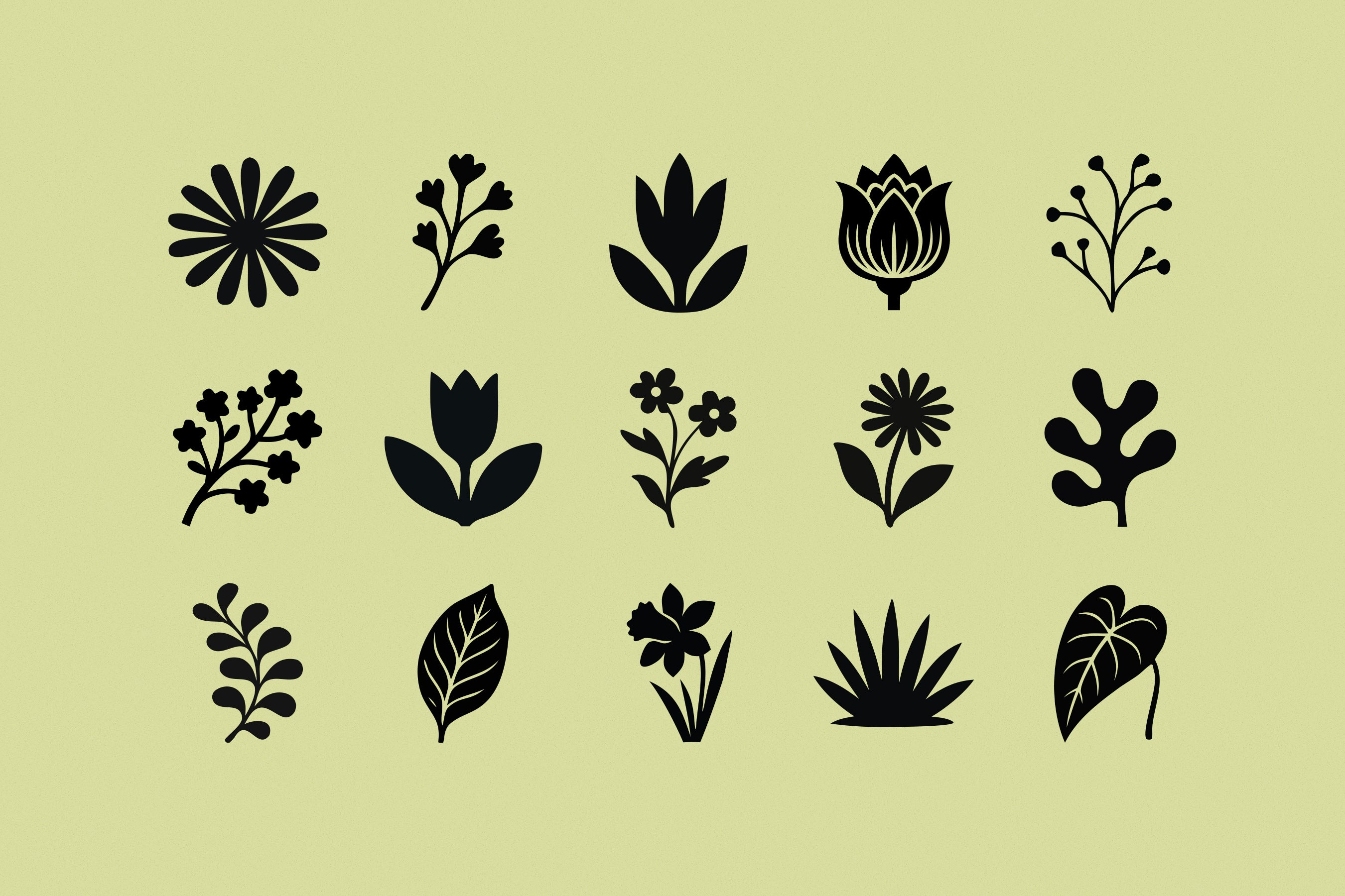 flora-elements-208-botanical-shapes-pixelbuddha-6.jpg