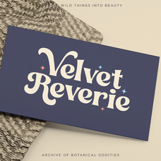 floretta-classy-retro-serif-font-unknown-creator-6.png