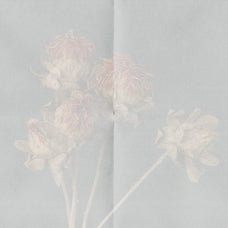 folded-paper-textures-collection-pixelbuddha-5.jpg