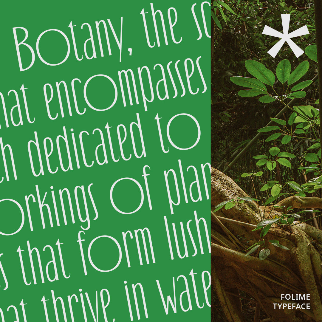 folime-condensed-sans-serif-craft-supply-co-3.jpg