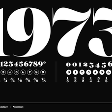 fosca-bold-baroque-display-serif-font-unknown-creator-10.png