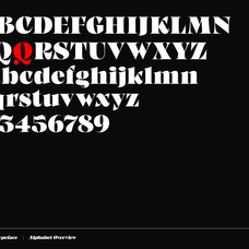 fosca-bold-baroque-display-serif-font-unknown-creator-3.png