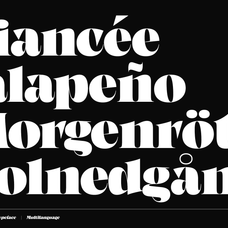 fosca-bold-baroque-display-serif-font-unknown-creator-4.png