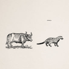 Four Footed Beasts