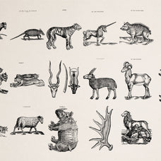 Four Footed Beasts