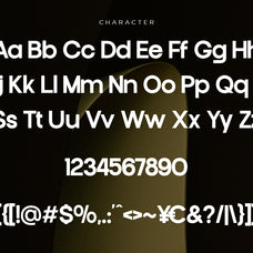 francy-modern-sans-display-font-catalystco-studio-2.jpg