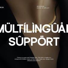 francy-modern-sans-display-font-catalystco-studio-3.jpg