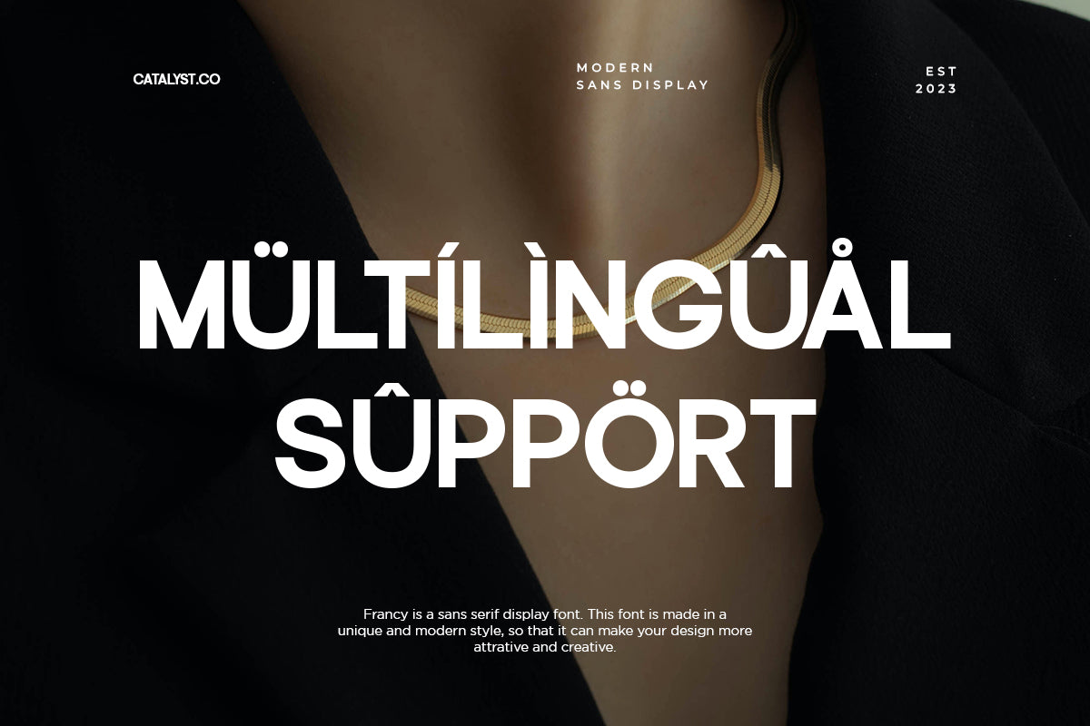 francy-modern-sans-display-font-catalystco-studio-3.jpg
