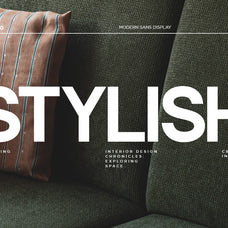 francy-modern-sans-display-font-catalystco-studio-4.jpg