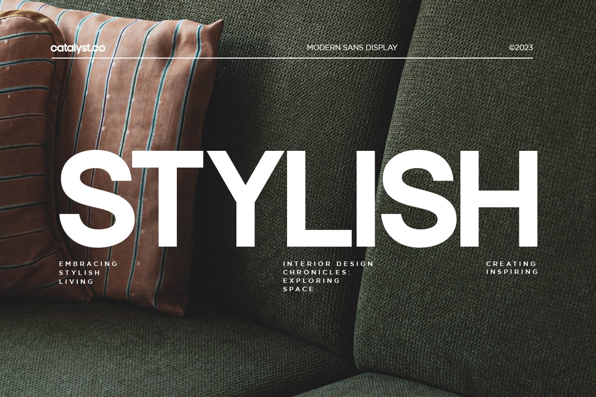 francy-modern-sans-display-font-catalystco-studio-4.jpg