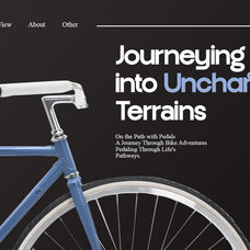 francy-modern-sans-display-font-catalystco-studio-9.jpg