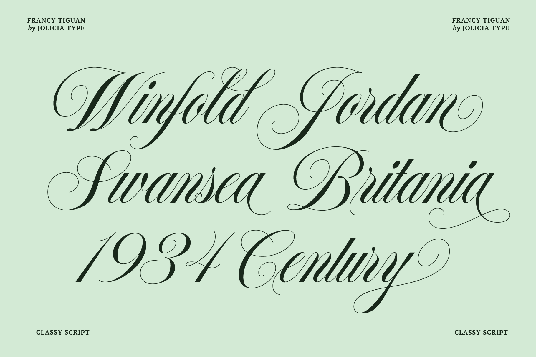francy-tiguan-classy-script-font-jolicia-type-2.png